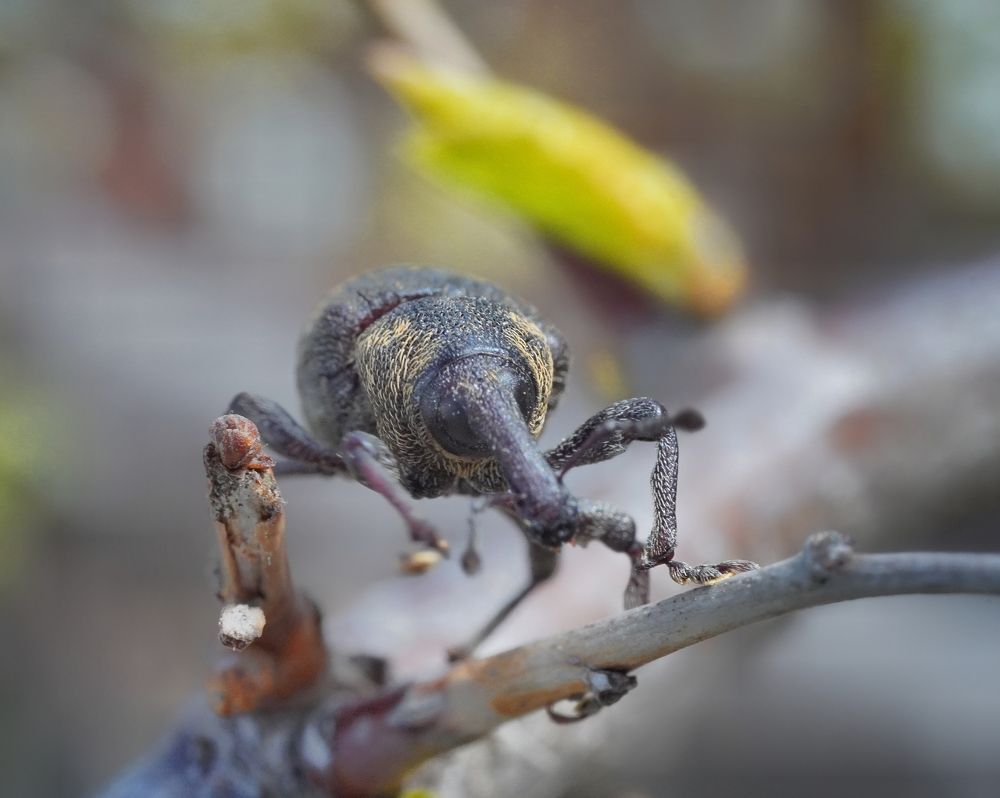 Photograph by Высотских Владимир