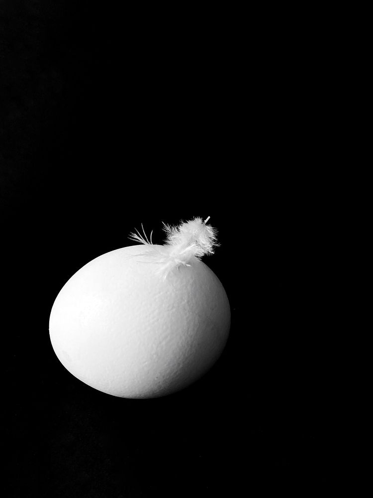 Photograph by Марина Танаева