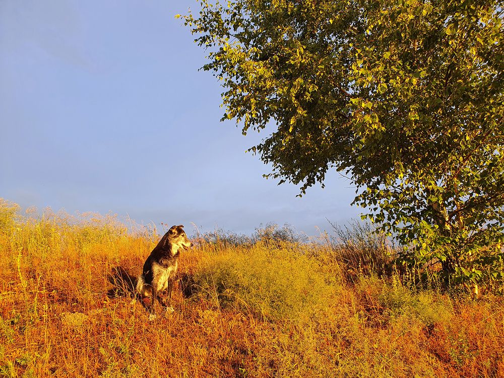 Фотография автора Надежда Лисицына