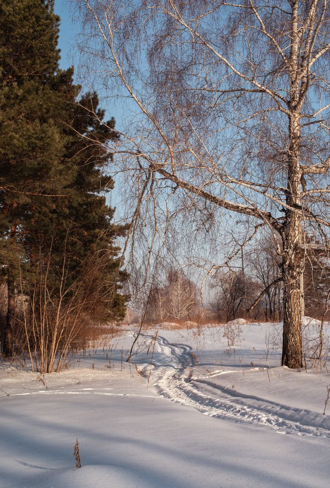 Photograph by Сергей Конопленко