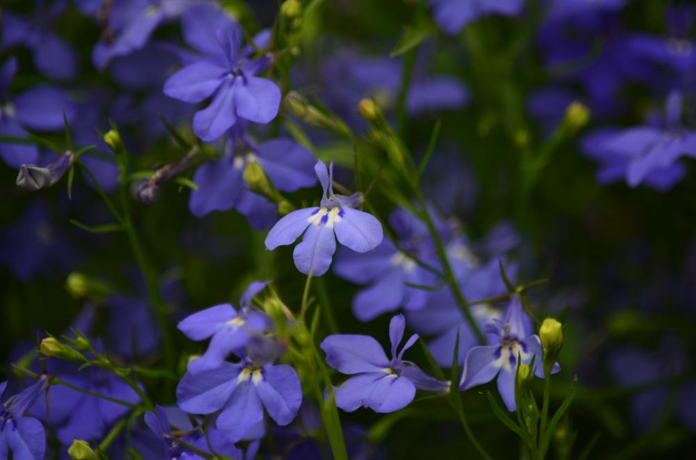 Photograph by Ольга Мокрова