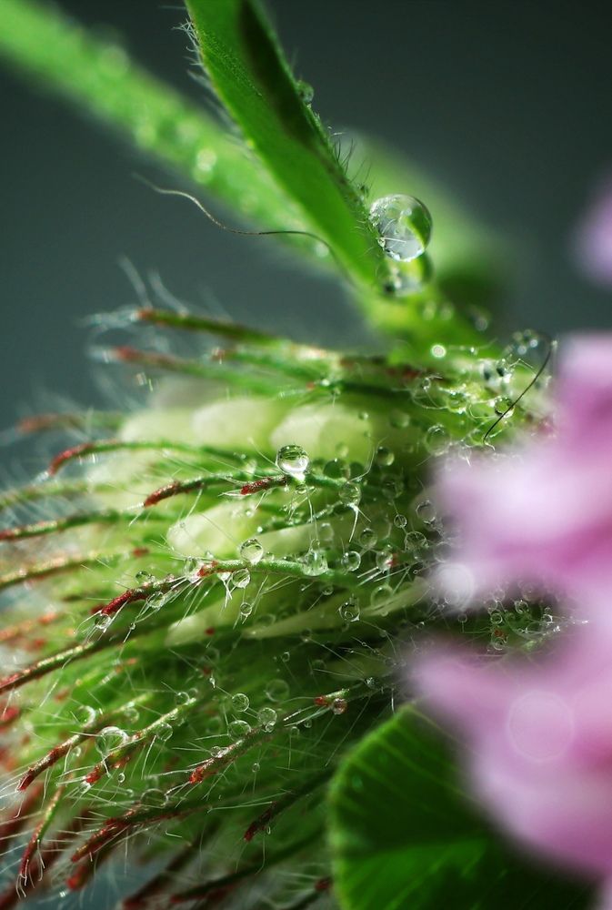 Photograph by Olga Asson