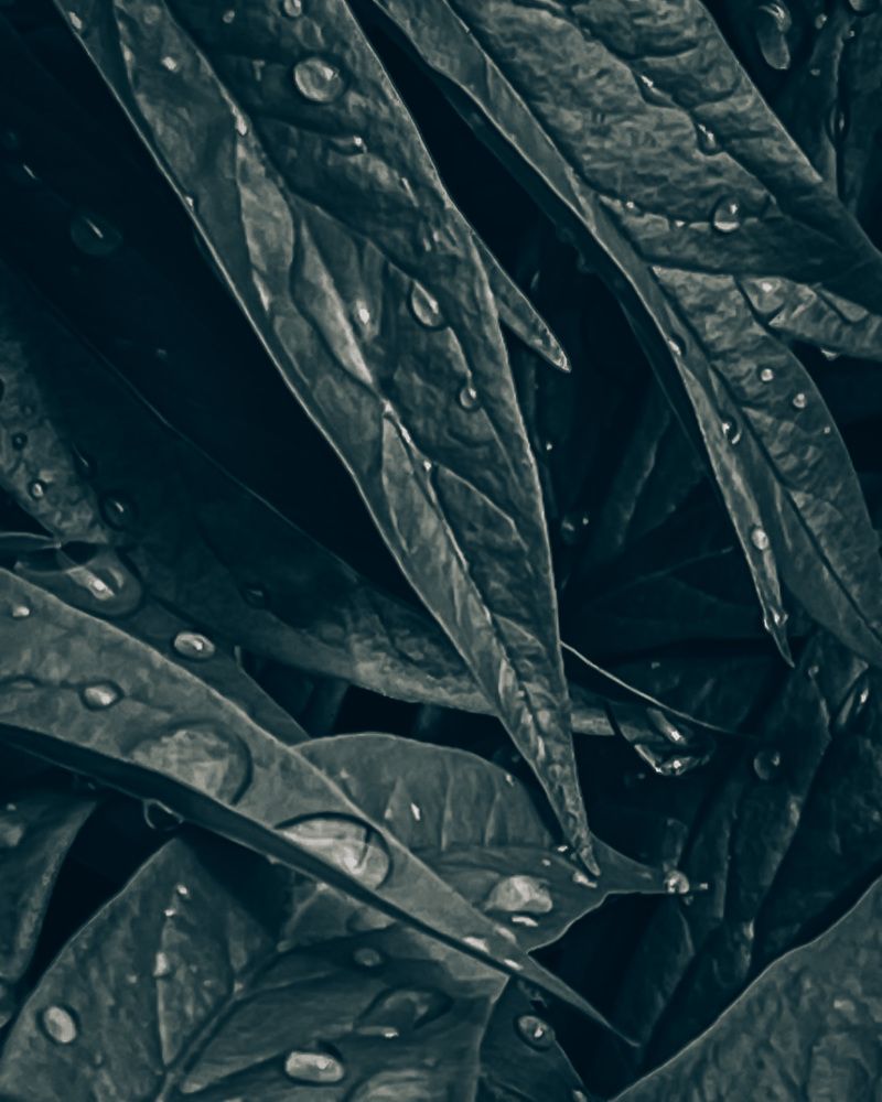 Photograph by Вера Артеменко