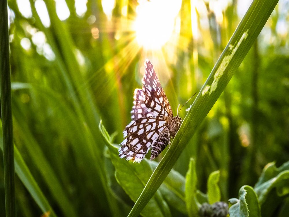 Photograph by Рязанов Юрий