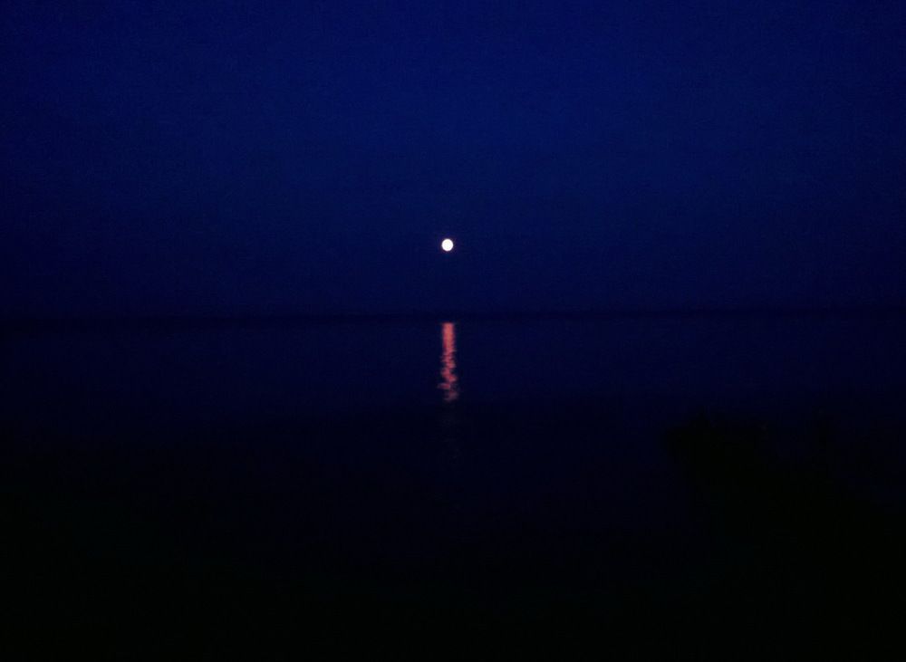 Photograph by Наталия