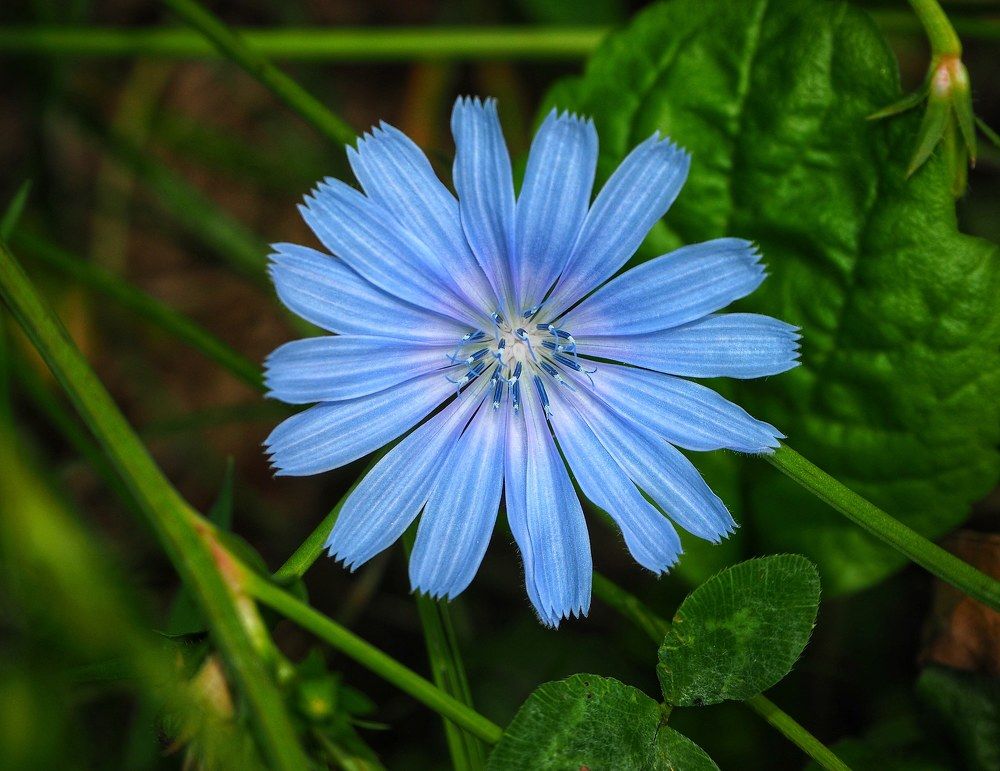 Фотография автора Kiss Gabor