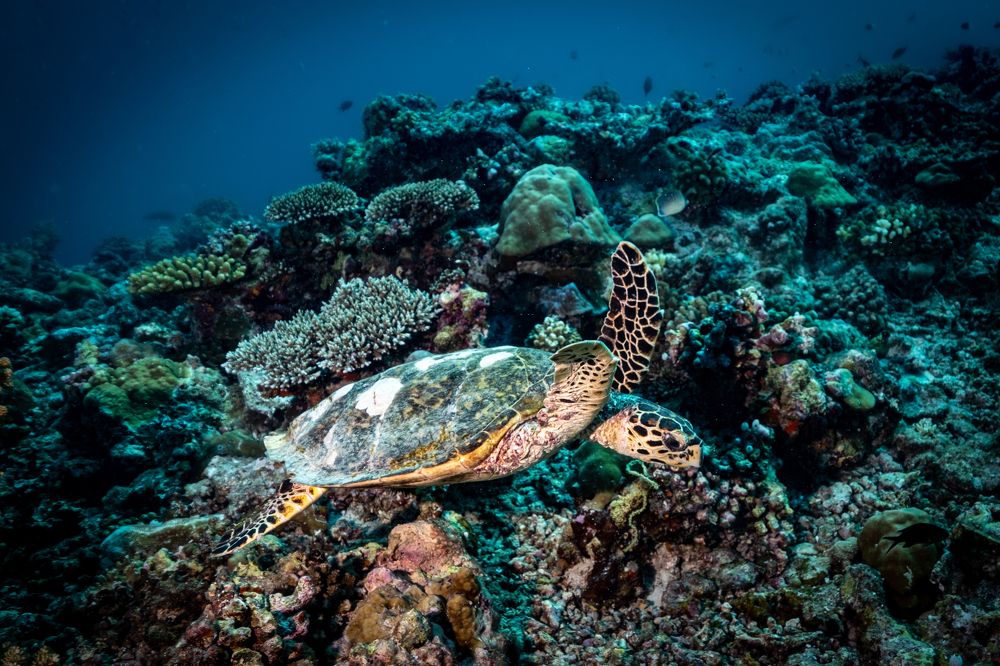 Photograph by Дмитрий Плотников