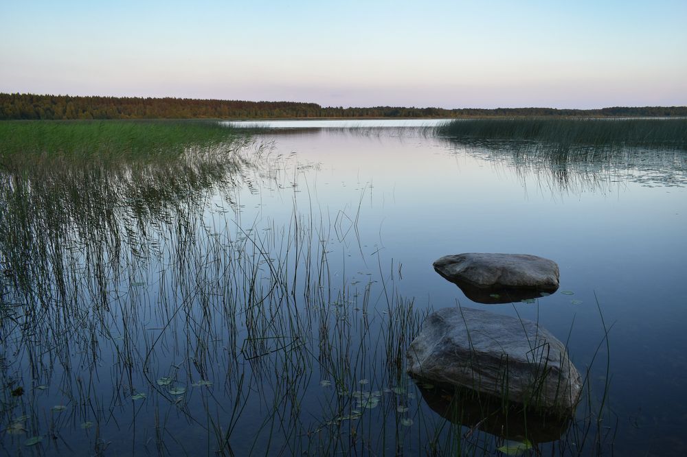 Photograph by Aušrinė Bui