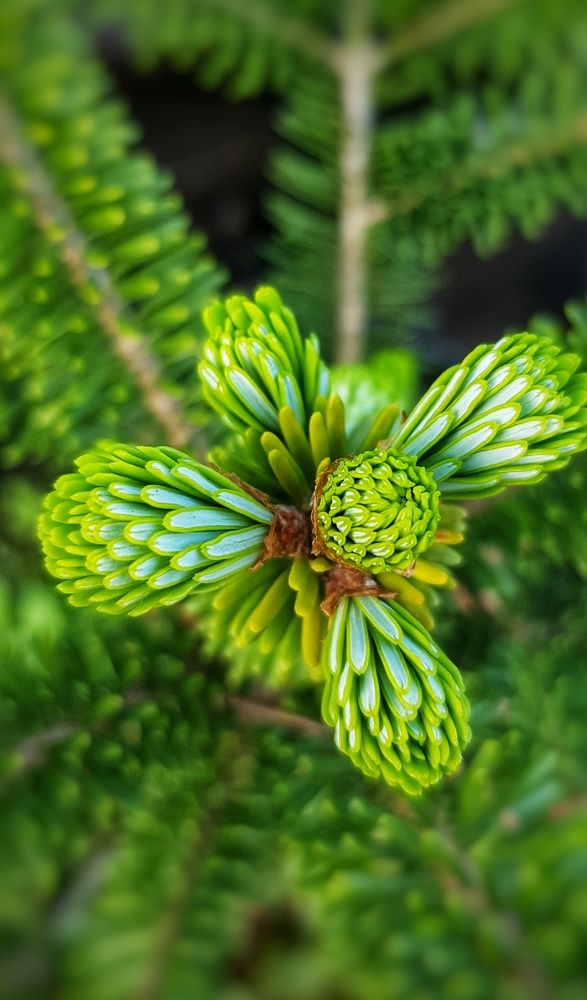 Photograph by Ольга