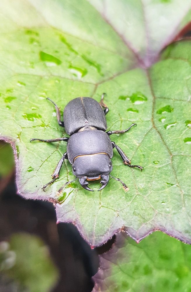 Photograph by Ольга