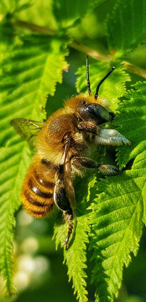 Photograph by Ольга