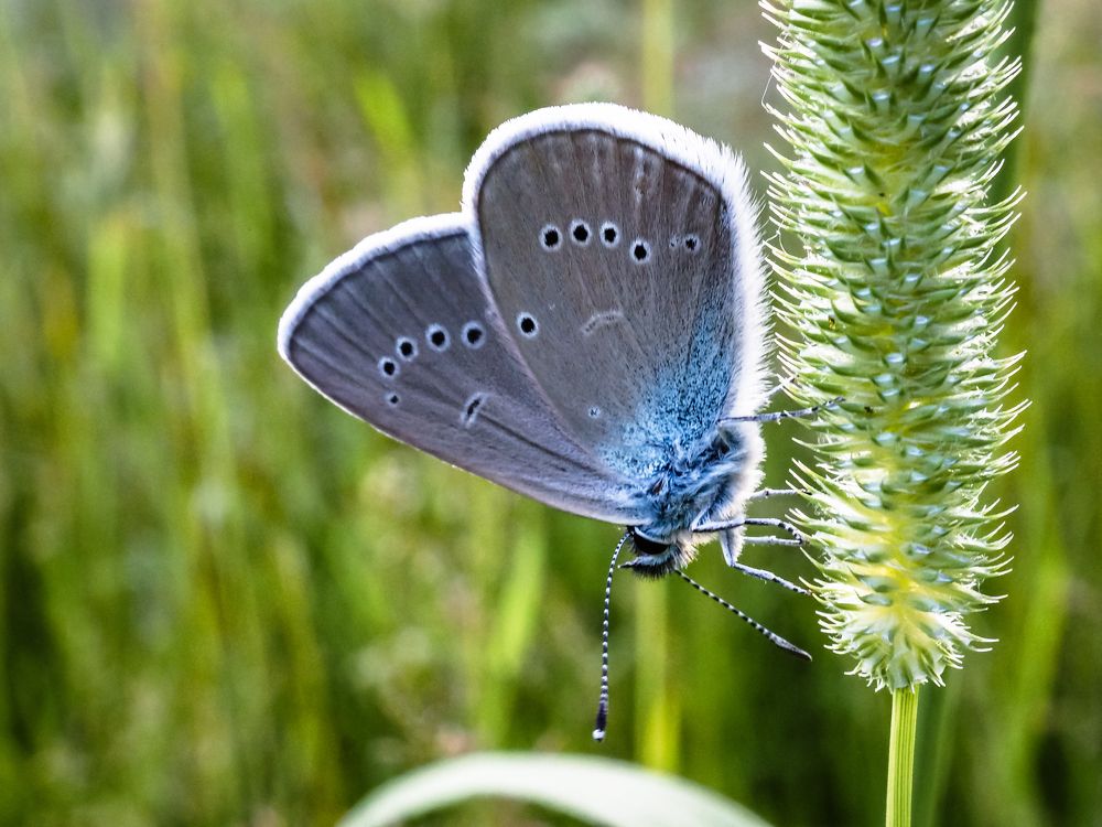 Photograph by Рязанов Юрий