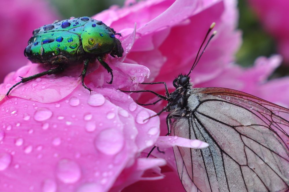 Photograph by Игорь Двойных