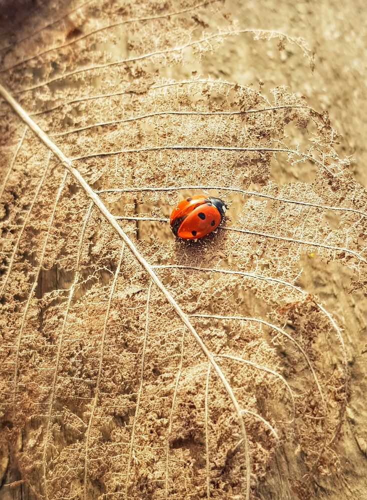 Photograph by Ольга