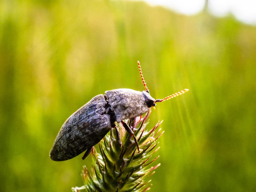 Photograph by Рязанов Юрий