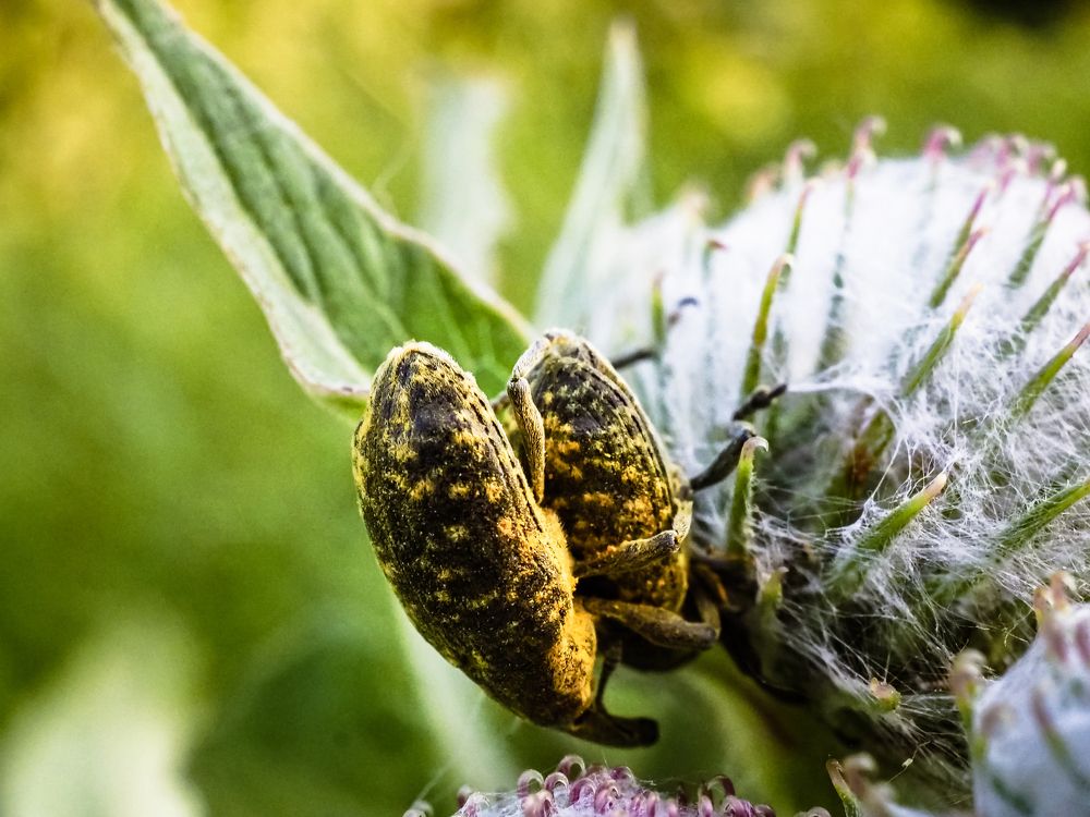 Photograph by Рязанов Юрий