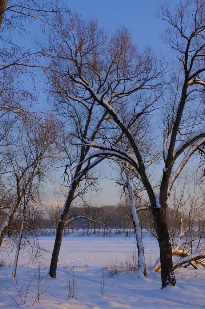 Photograph by Марина Душевина