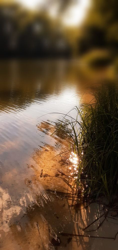 Photograph by Андрей Власов