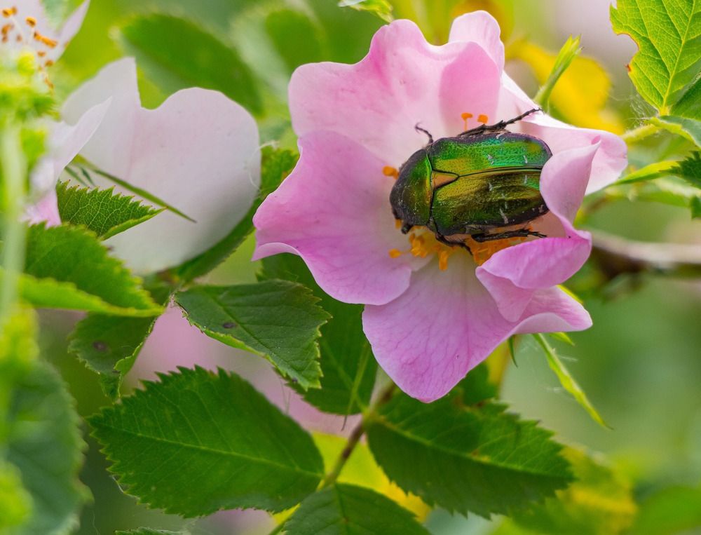 Photograph by Данила Черных