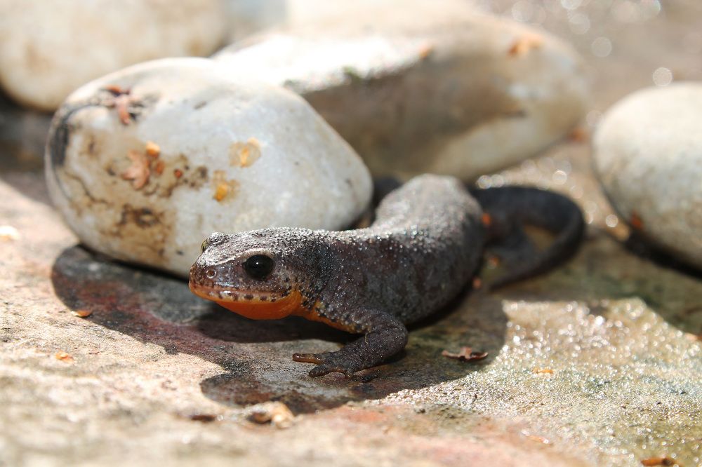 Photograph by Диана Ульянцева