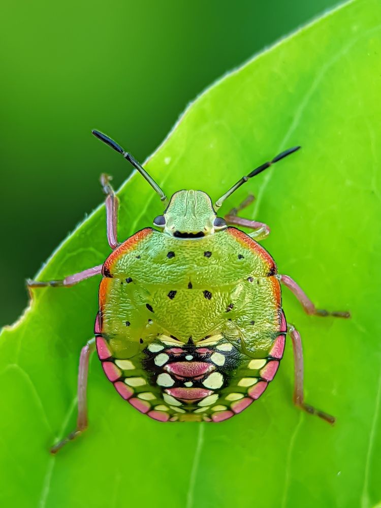 Фотография автора ISLAM SK RIYAJUL