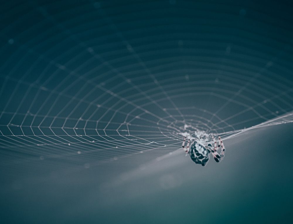 Photograph by Данила Черных