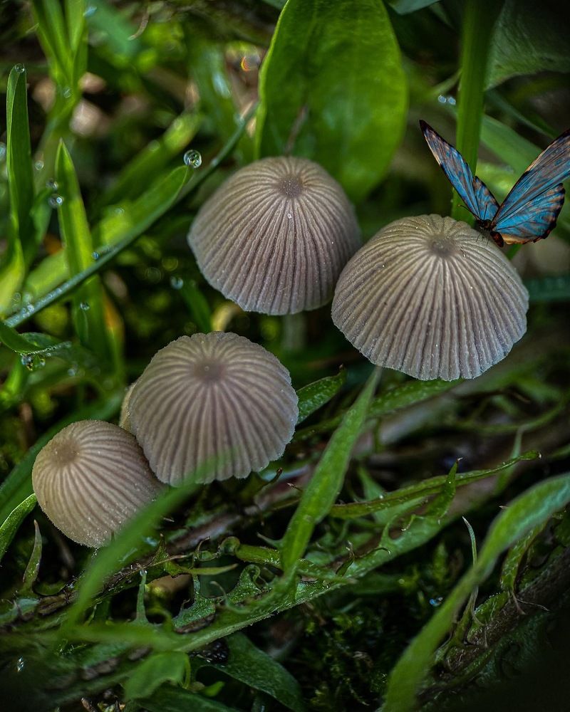 Photograph by Марина