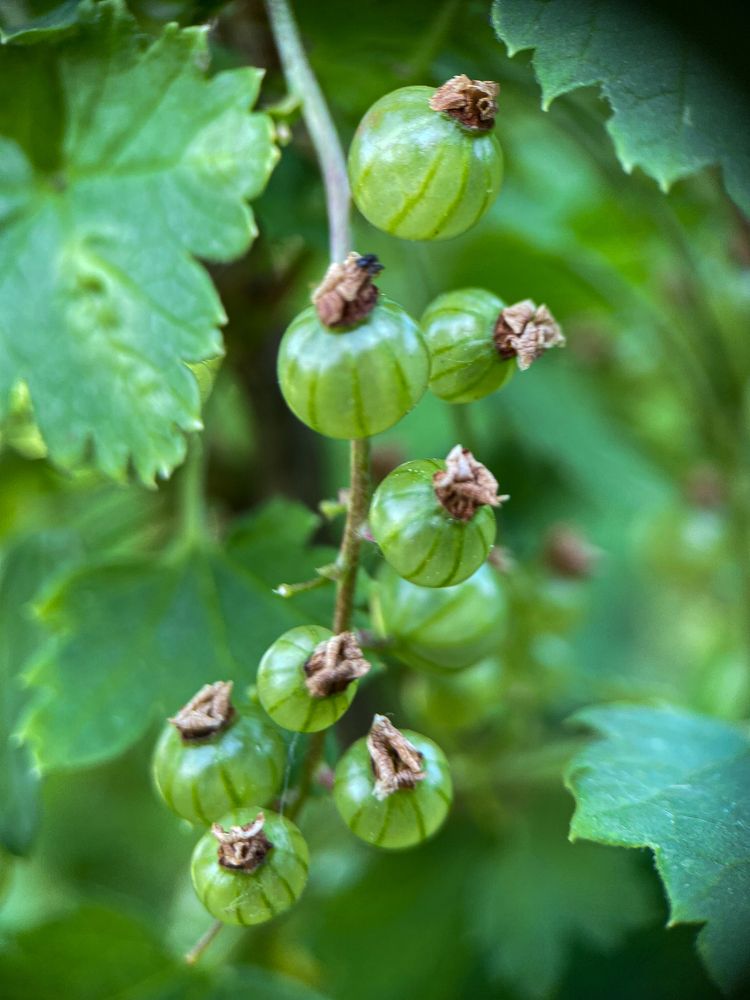 Photograph by Марина