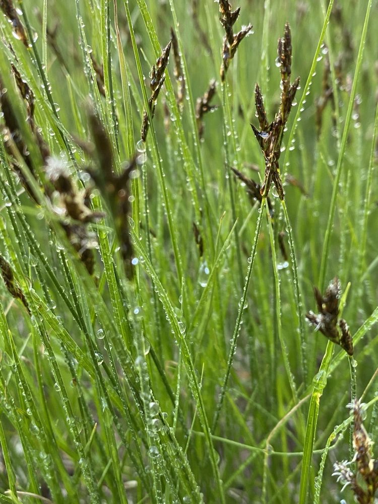 Photograph by Марина