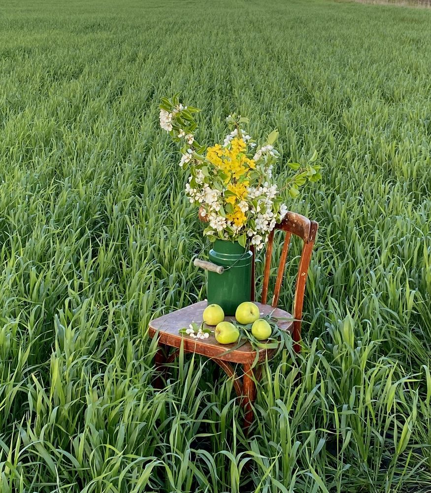 Photograph by Марина