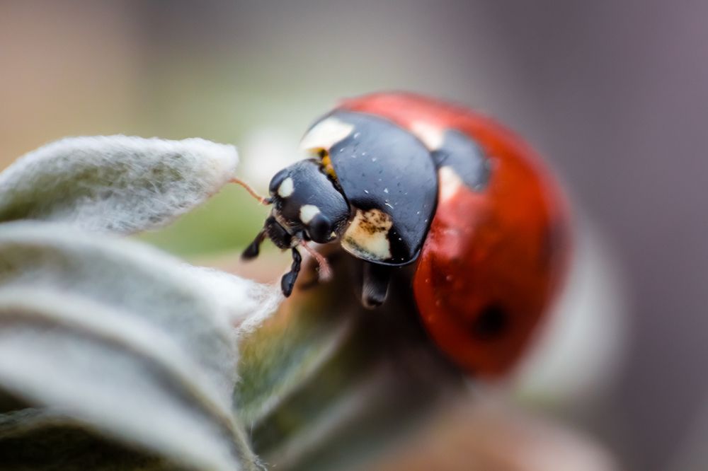 Photograph by Мария Зайцева