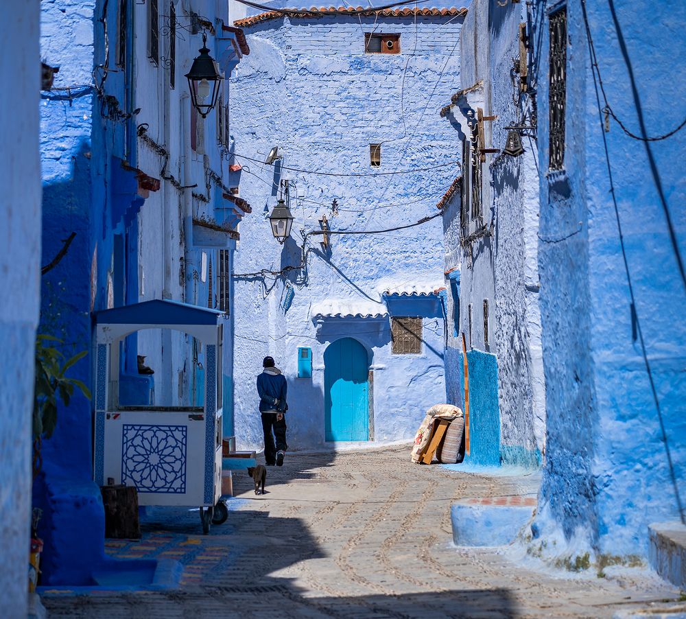 Фотография автора Александър Александров