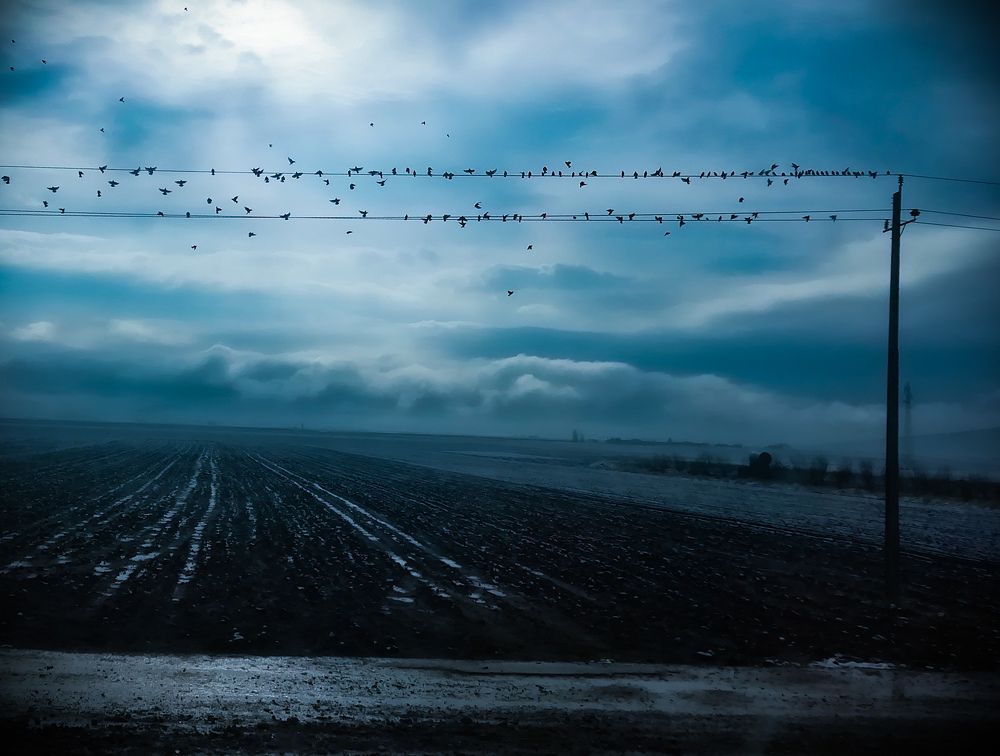 Фотография автора kazem kakaei