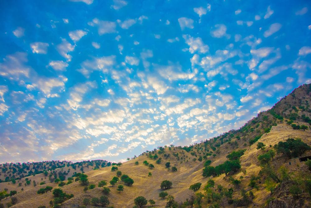 Фотография автора kazem kakaei