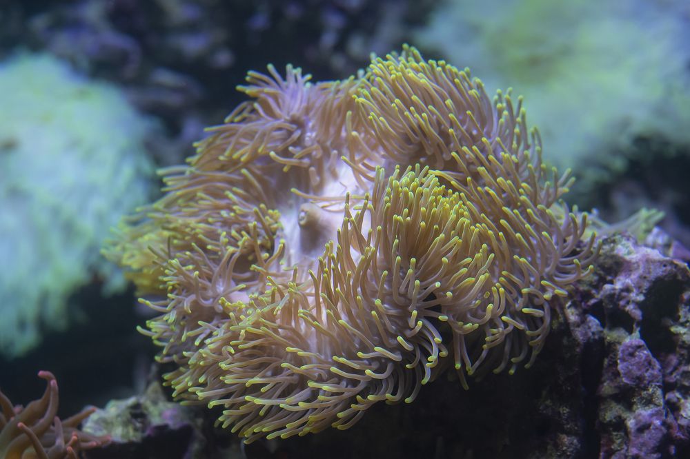 Photograph by Svetlana Karnauh Карнаух