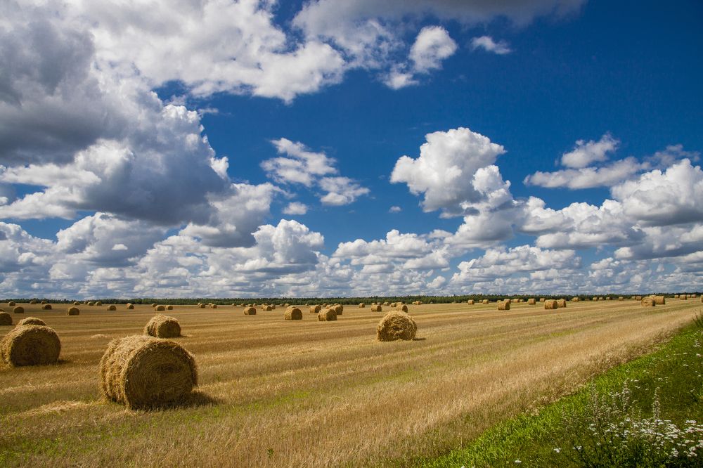 Август в Беларуси - 7