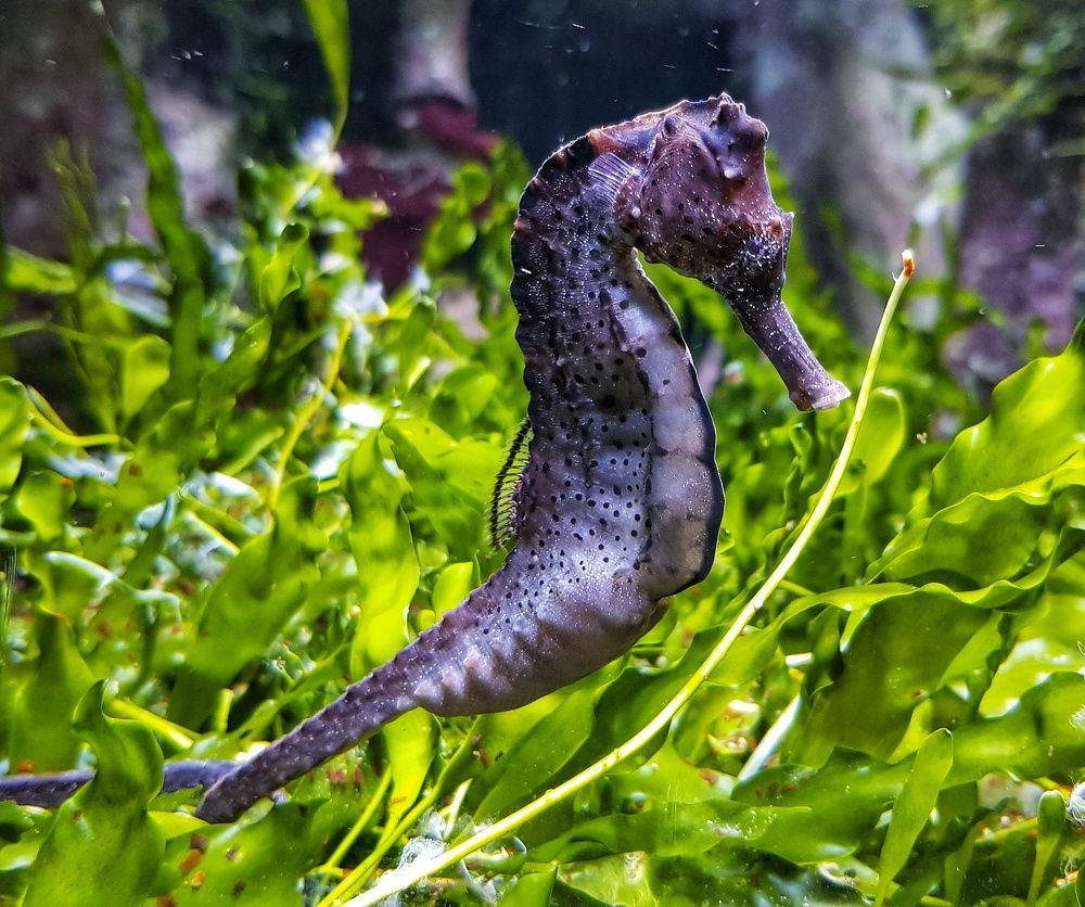 Photograph by Ольга Ларизадех