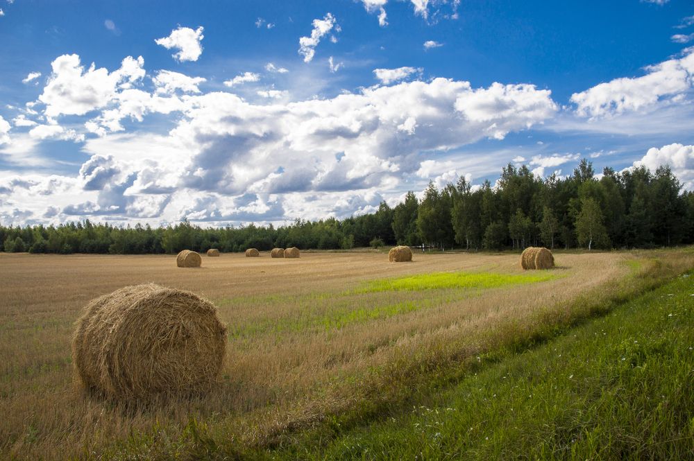 Август в Беларуси - 9