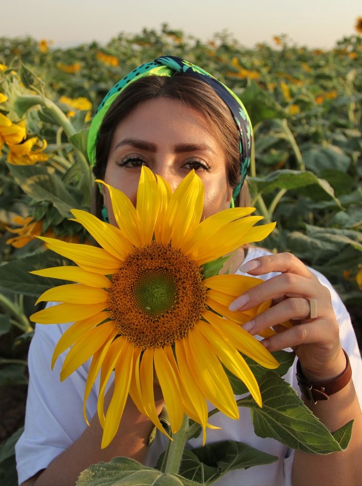 Фотография автора Soheyla Emamian