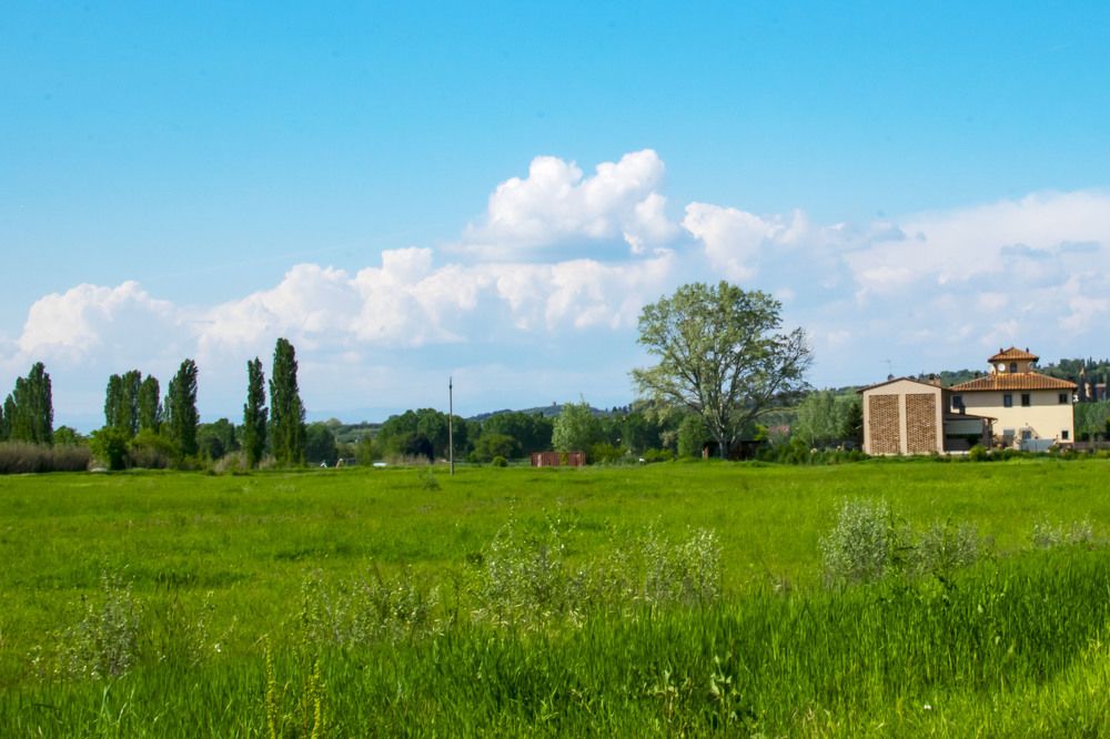 Photograph by SIMONE CIULLI