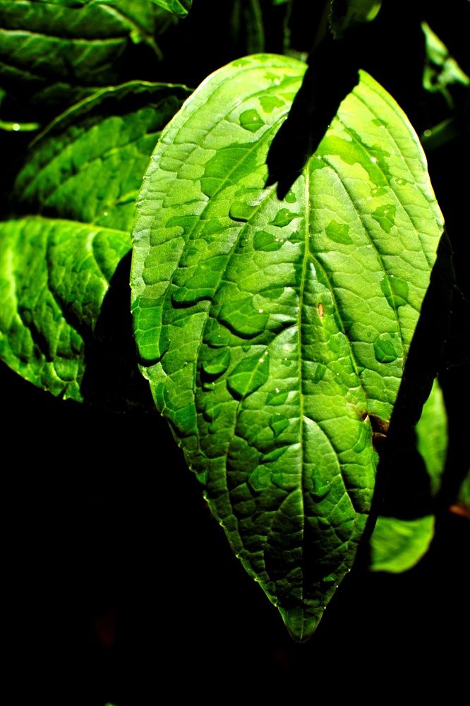 Photograph by SIMONE CIULLI