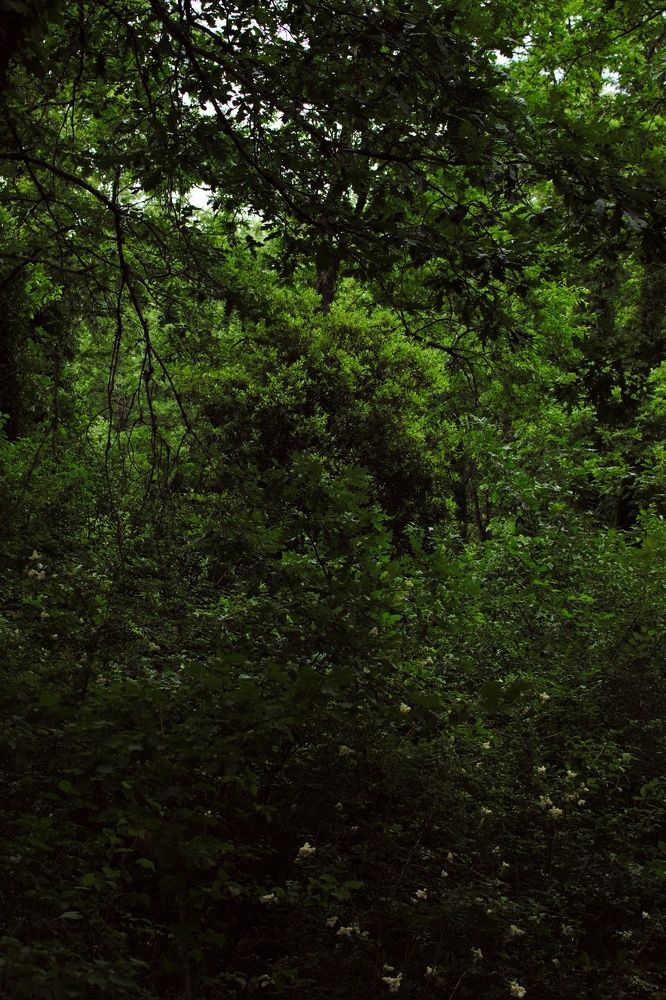 Photograph by SIMONE CIULLI