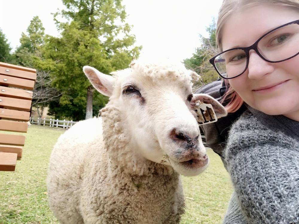 Фотография автора Наталья Барова