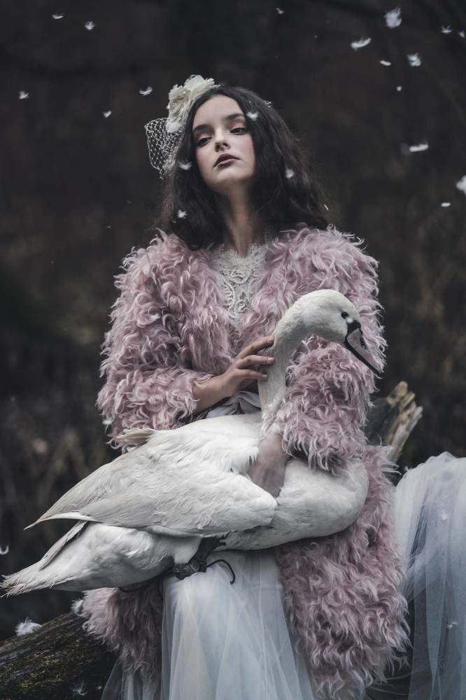 Девочка и лебедь