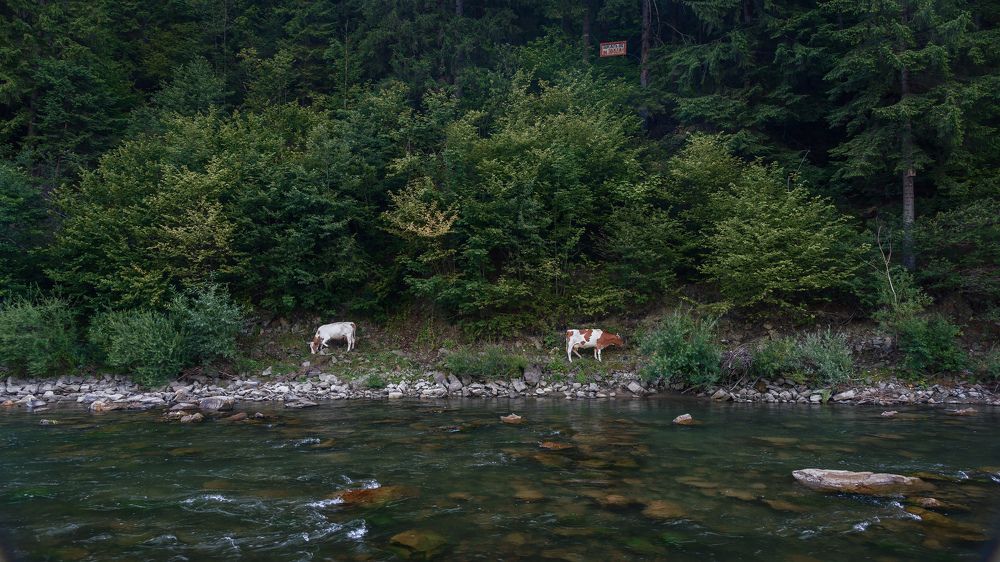 Photograph by Alexander Plaksin