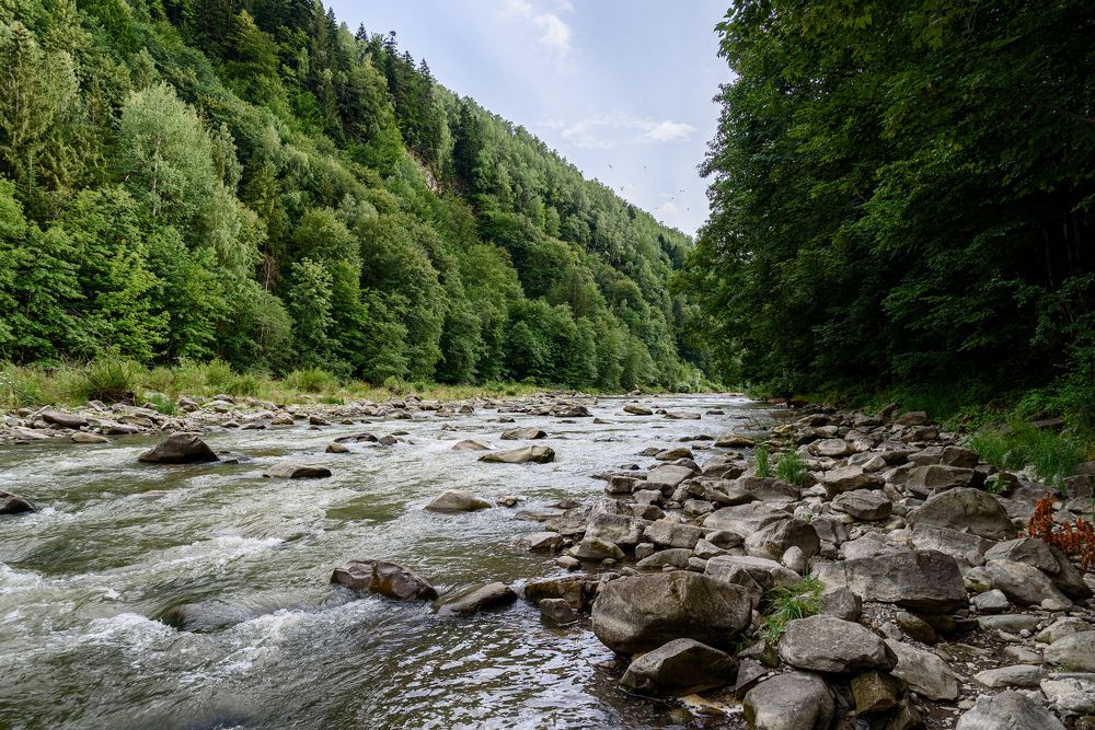 Photograph by Alexander Plaksin