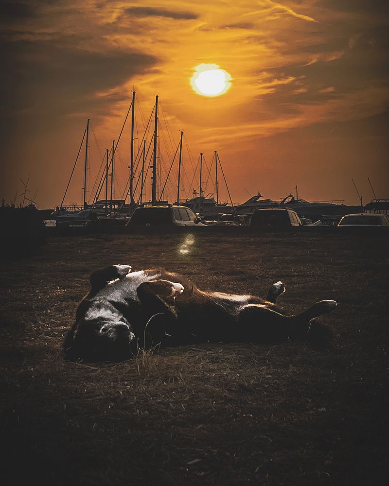 Photograph by Алена