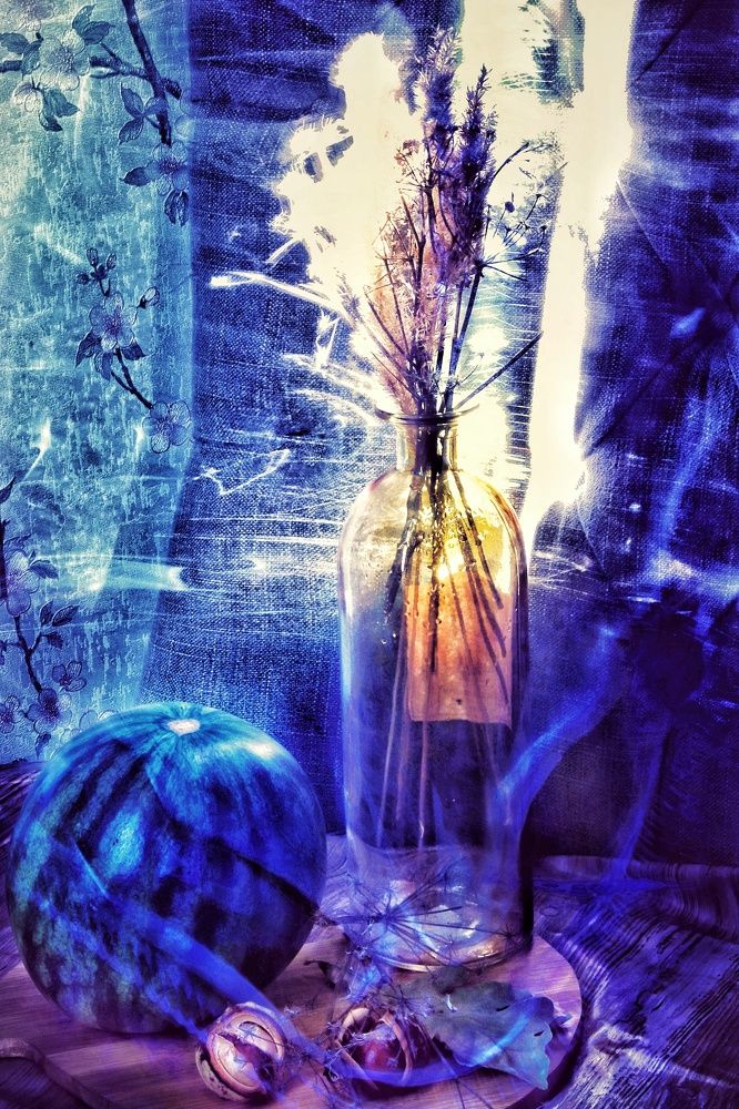 Photograph by Olga Asson