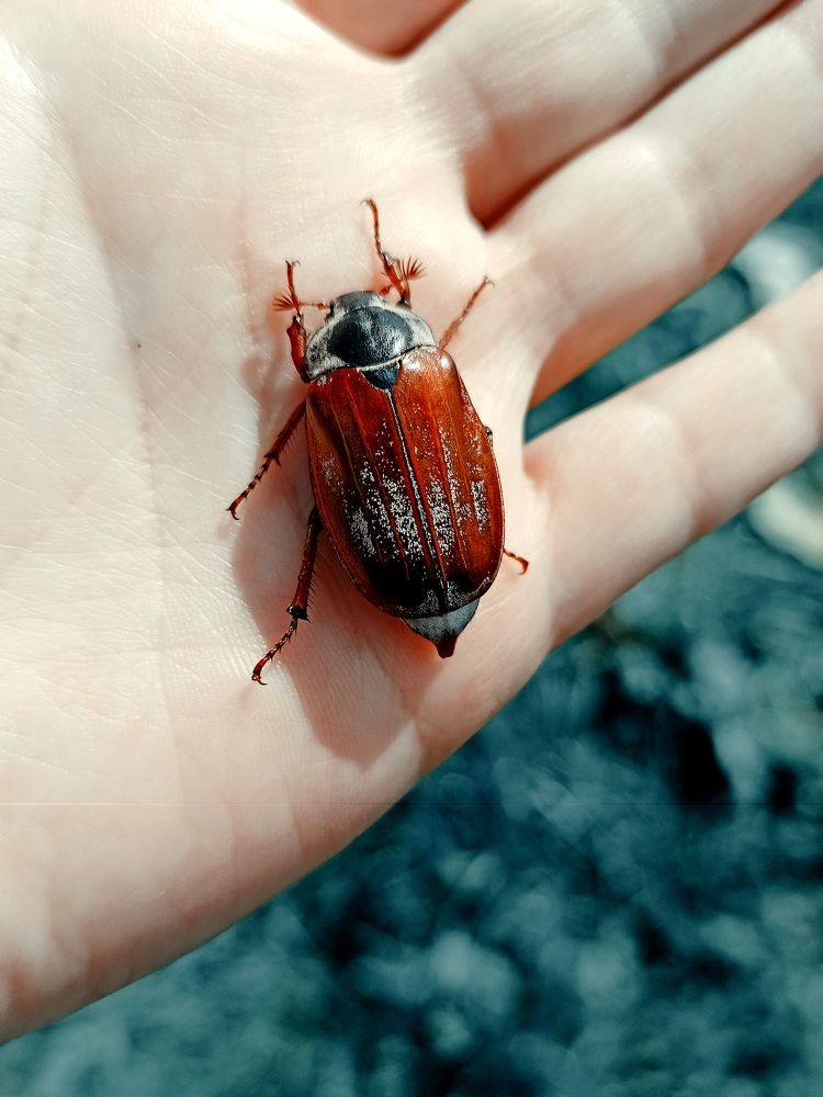 Photograph by Елена Подшевалова