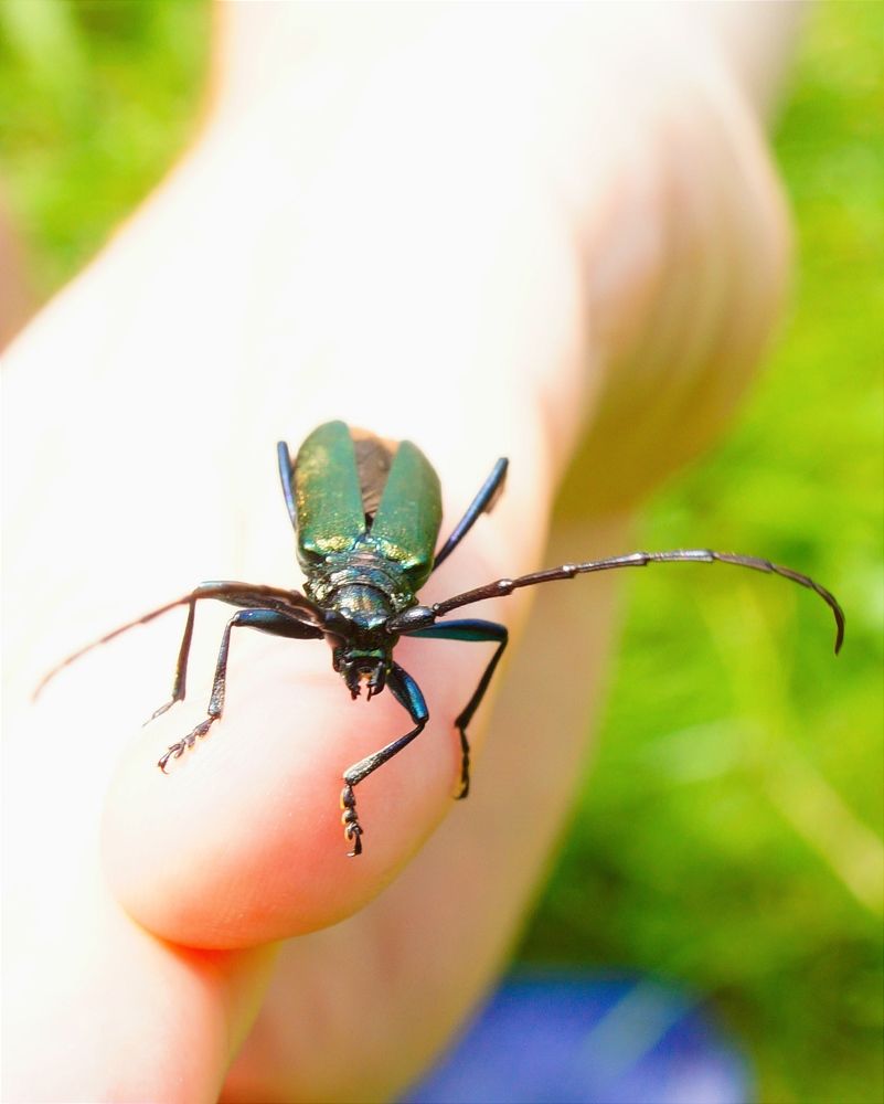 Photograph by Елена Подшевалова